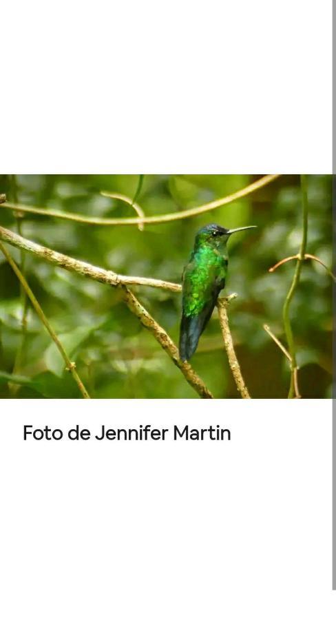 Jardin De Naipi Apartman Puerto Iguazú Kültér fotó